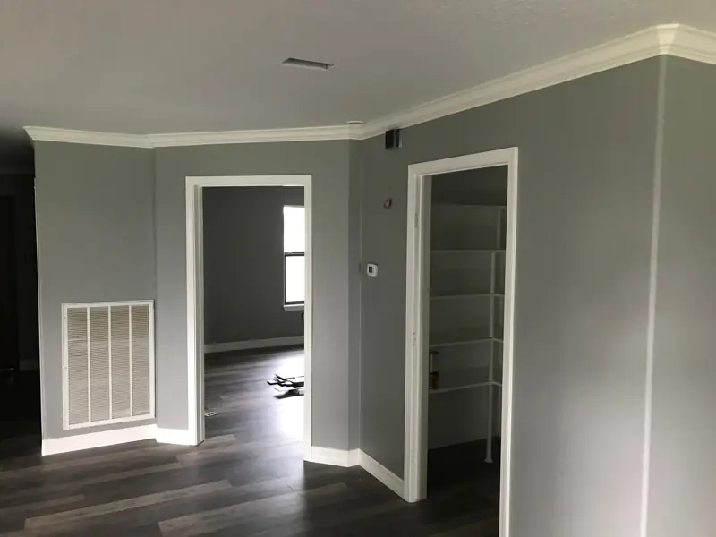 Hallway with crown molding, gray walls and the new floor, a pantry with shelving.