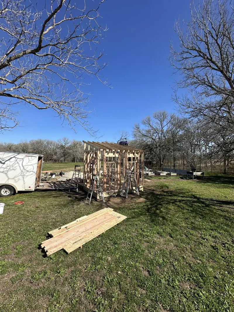 Shed framing with roof rafters going up, ladders set around it and a stack of lumber on the grass.